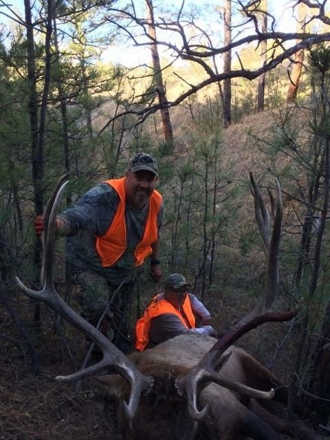 Hunting trophy